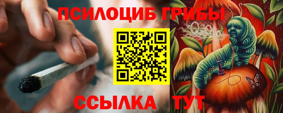 Галлюциногенные грибы Cubensis Пугачёв