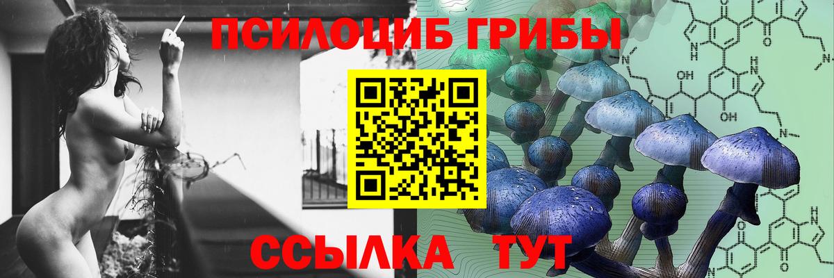 Галлюциногенные грибы GOLDEN TEACHER  что такое   Пугачёв  Галлюциногенные грибы Psilocybe  Вход с VPN 